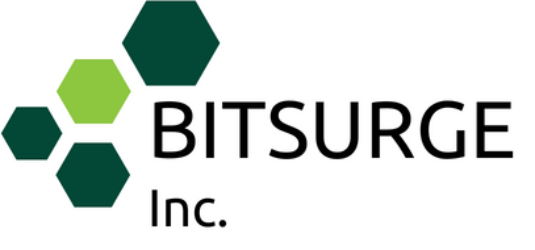 bitsurge.ca
